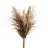 Set/5 Lule Artificiale te thata  natural Pampas Grass 44-65cm  /CODE 1466-00017