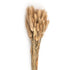 Buqete  Lule Artificiale te thata  branches  Bunny tails 55 cm  /CODE 1466-00074