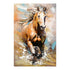 Pikture canvas painting 60x3x90cm/CODE Pak296-000031