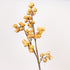 LULE FOAM COTTON PLANT YELLOW 23x105cm/ CODE 816-20066