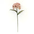 LULE FOAM  HYDRANGEA  BEIGE - PINK 20x90cm / CODE 816-20038
