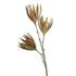 LULE FLOWER/BRANCH FOAM BROWN-GREEN 103cm/ CODE 758-12039