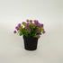 LULE ARTIFICIALE PURPLE FLOWER IN A POT 16cm/CODE 758-14057