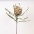 LULE ARTIFICIALE FOAM ARTICHOKE THISTLE GREEN 23x105cm/ CODE 816-20051