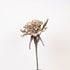 LULE ARTIFICIALE FOAM ROSE GREEN-BROWN 25x86cm / CODE  816-20053