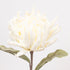 LULE FOAM PROTEA WHITE 15x95cm/ CODE 816-20062