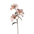 LULE BRANCH FOAM LIGHT BROWN - PURPLE 96cm/ CODE 816-20108