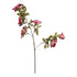 LULE BRANCH ROSE PURPLE - PINK/ CODE 816-20186