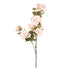 LULE BRANCH ROSE LIGHT PINK/ CODE 816-20187