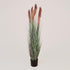 LULE PLANT GRASS WITH PINK FLOWER IN A POT PLASTIC 122cm/ CODE 816-50019