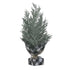 PEME  PL TREE GREEN/BLACK H33/ CODE 2-85-397-0033