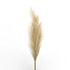 Lule Artificiale te thata  Pampas Grass 90 cm   /CODE 1466-00010