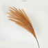 LULE BRANCH PAMPAS GRASS CARAMEL 112CM/ CODE 758-12132
