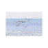 PANORAME CANVAS WALL ART SEAGULLS 120X4X80 / CODE 3-90-859-0130