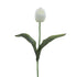 LULE TULIP FLOWER WHITE H46CM/CODE 3-85-246-0219