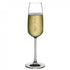 GOTE SHAMPANJE KRISTALI 6 COPE NUDE MIRAGE CHAMPAGNE  245CC/CODE NU66091-6
